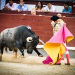 Madrid. Domingo 30 de junio de 2019