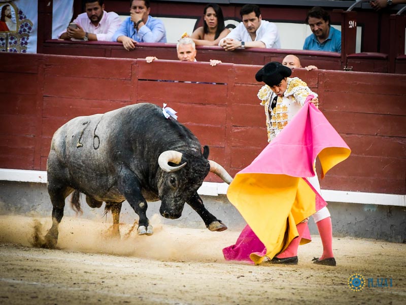 Madrid. Domingo 30 de junio de 2019