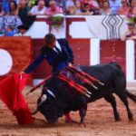 Zamora. Sábado 29 de junio de 2019