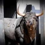 Toros de Partido de Resina para Las Ventas. Domingo 30 de junio de 2019