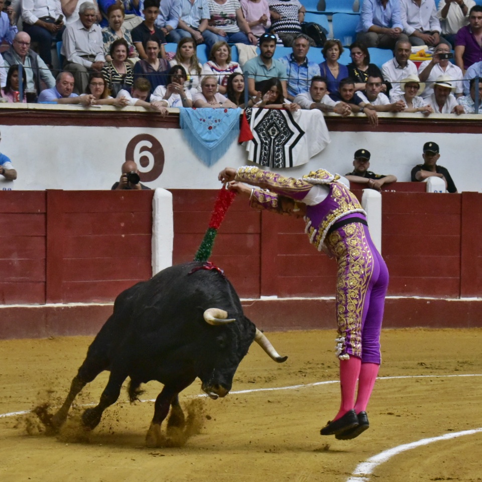León, domingo 23 de junio de 2019
