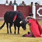 León, domingo 23 de junio de 2019