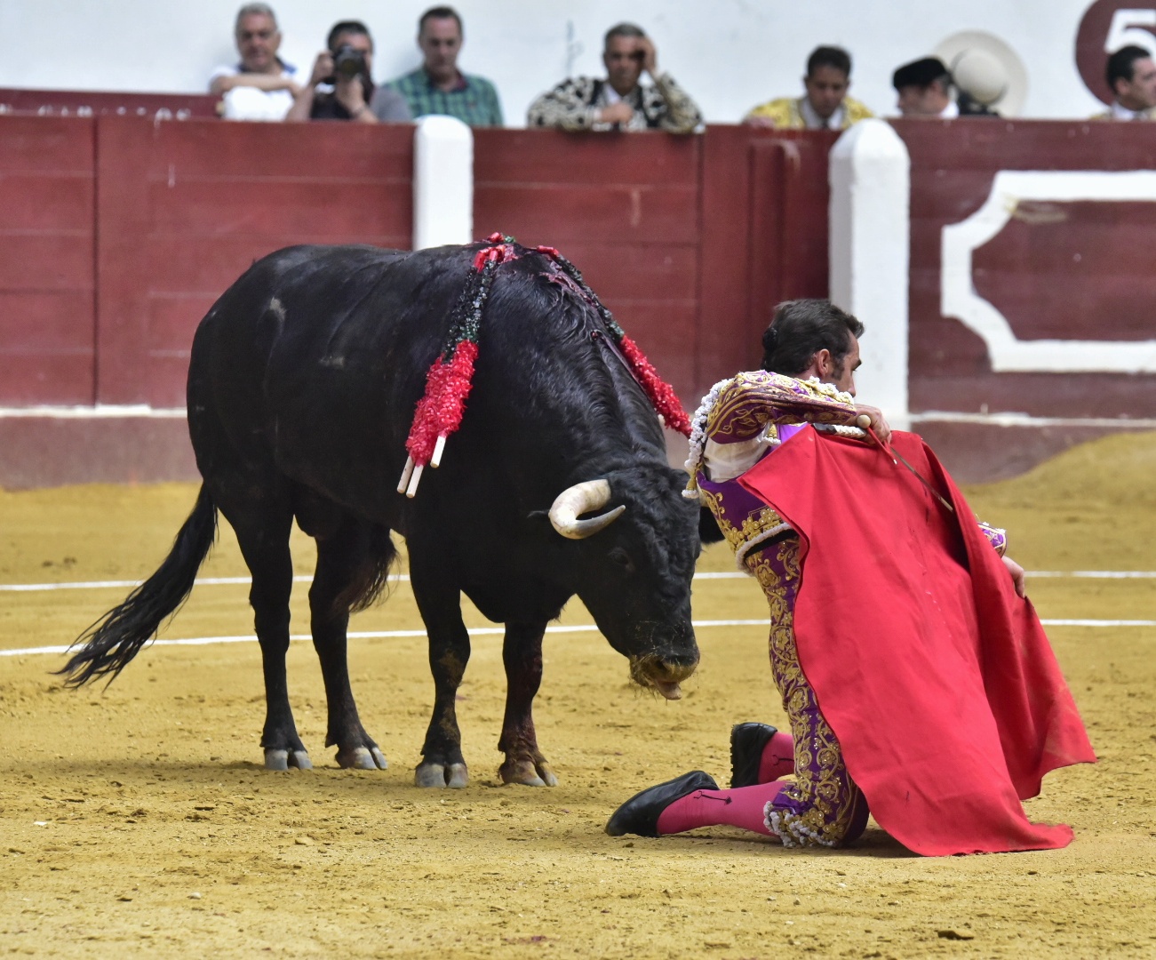 León, domingo 23 de junio de 2019