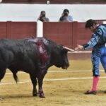 León, domingo 23 de junio de 2019