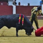 León, domingo 23 de junio de 2019