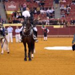 Lisboa, 6 junio de 2019.