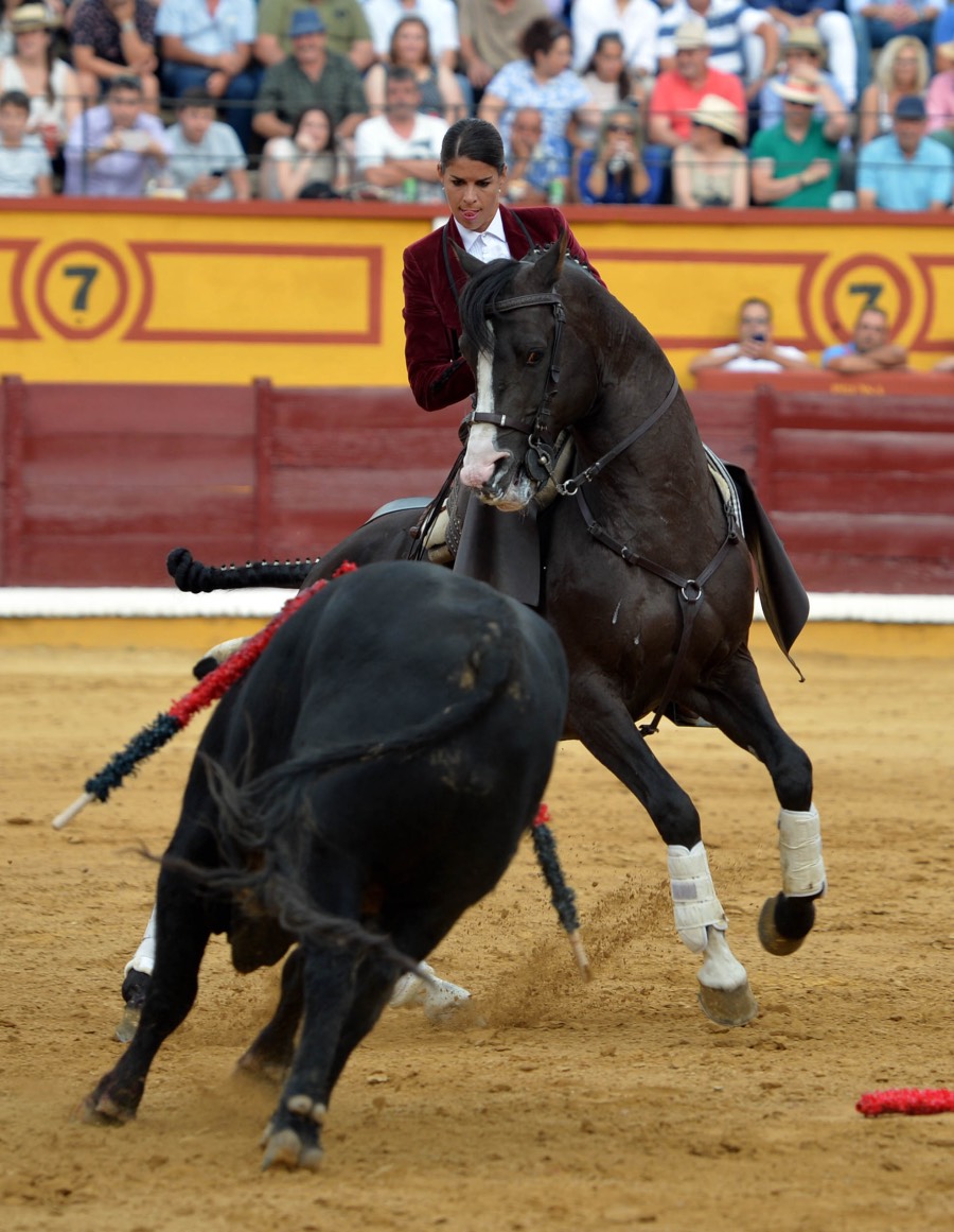 Badajoz, domingo 23 de junio de 2019