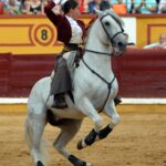 Badajoz, domingo 23 de junio de 2019