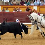 Badajoz, domingo 23 de junio de 2019