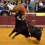 Lisboa, 6 junio de 2019.