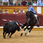 Badajoz, domingo 23 de junio de 2019