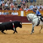 Badajoz, domingo 23 de junio de 2019