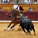Badajoz, domingo 23 de junio de 2019
