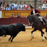 Badajoz, domingo 23 de junio de 2019