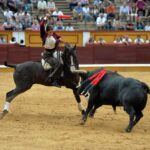 Badajoz, domingo 23 de junio de 2019