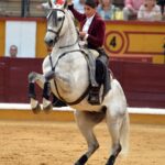 Badajoz, domingo 23 de junio de 2019