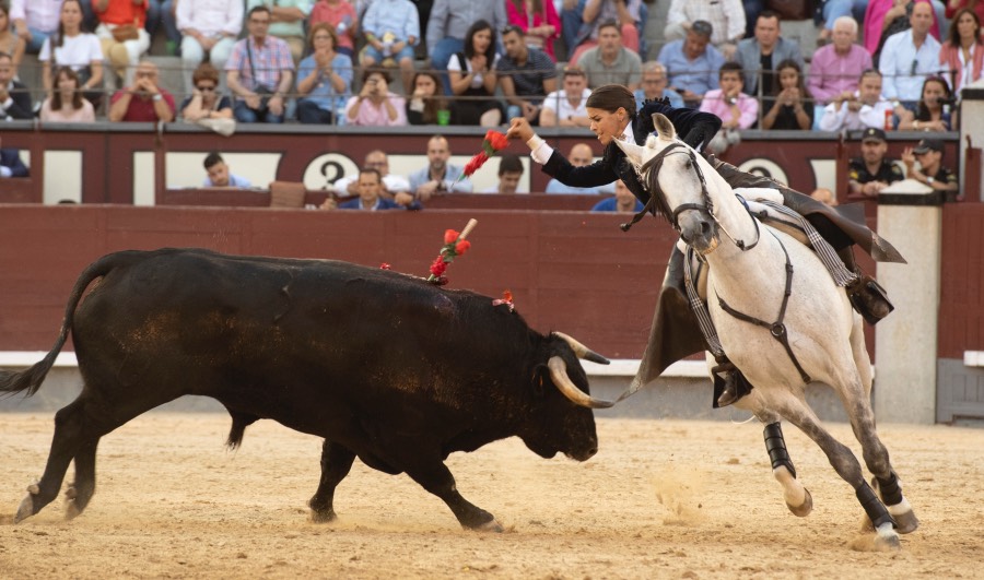 Madrid, sábado 8 de junio de 2019