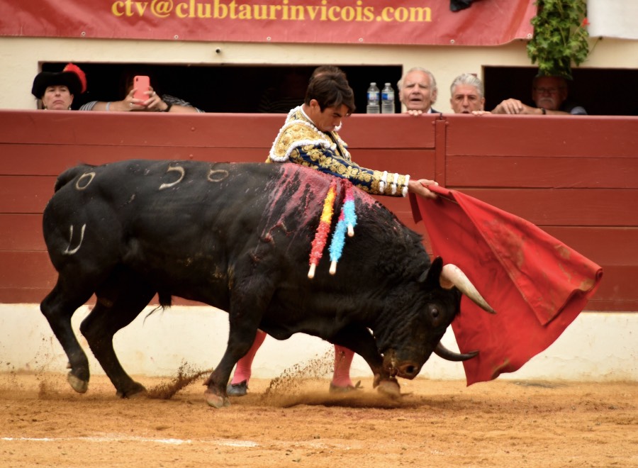 Vic-Fexensac, domingo 9 de junio de 2019. Matinal