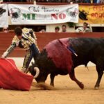 Vic-Fexensac, domingo 9 de junio de 2019. Matinal