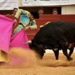 Vic-Fexensac, domingo 9 de junio de 2019. Matinal