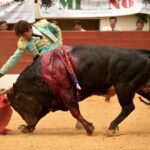 Vic-Fexensac, domingo 9 de junio de 2019. Matinal