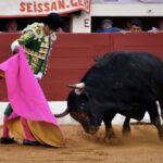 Vic-Fezensac, domingo 9 de junio de 2019. Tarde