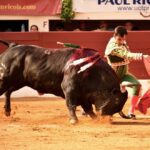 Vic-Fezensac, domingo 9 de junio de 2019. Tarde