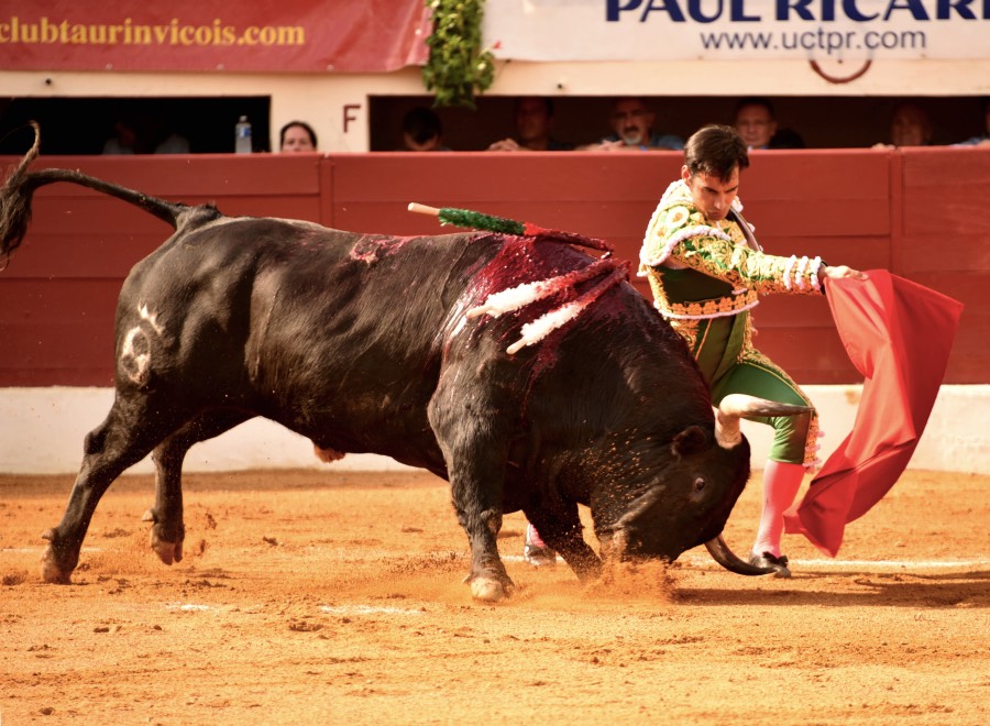 Vic-Fezensac, domingo 9 de junio de 2019. Tarde