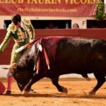 Vic-Fezensac, domingo 9 de junio de 2019. Tarde