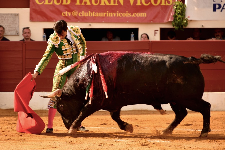 Vic-Fezensac, domingo 9 de junio de 2019. Tarde