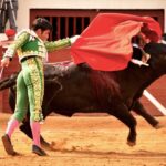 Vic-Fezensac, domingo 9 de junio de 2019. Tarde