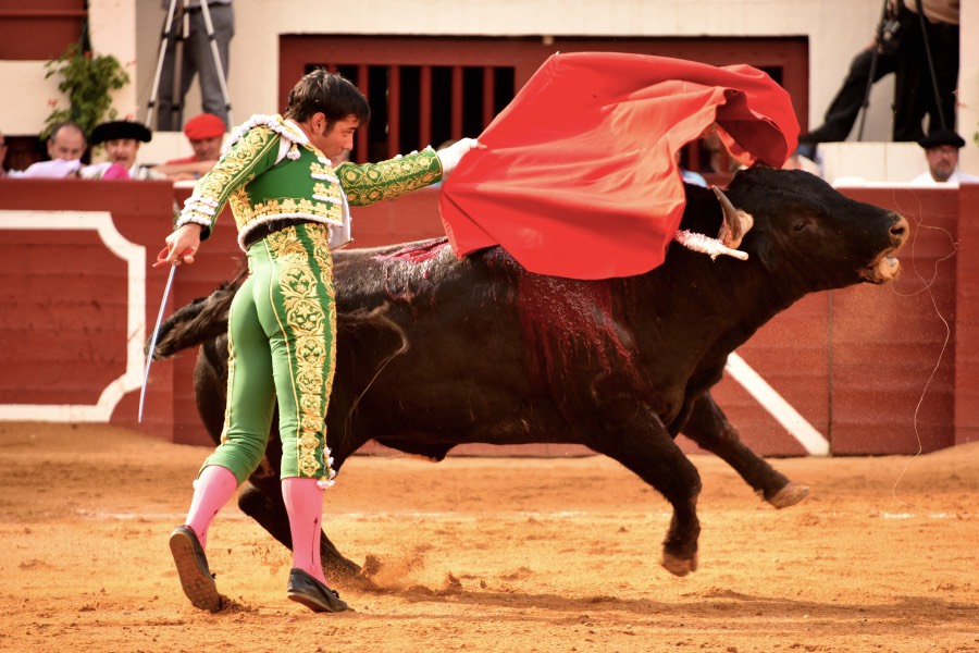 Vic-Fezensac, domingo 9 de junio de 2019. Tarde
