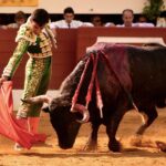 Vic-Fezensac, domingo 9 de junio de 2019. Tarde