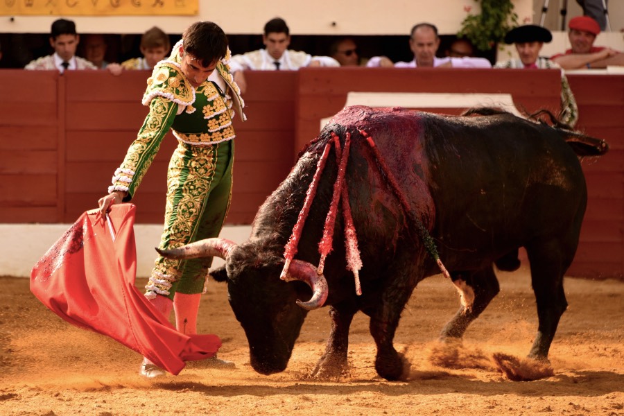 Vic-Fezensac, domingo 9 de junio de 2019. Tarde