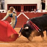 Vic-Fezensac, domingo 9 de junio de 2019. Tarde