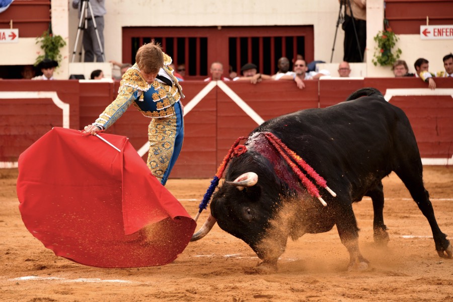 Vic-Fezensac, domingo 9 de junio de 2019. Tarde