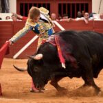 Vic-Fezensac, domingo 9 de junio de 2019. Tarde