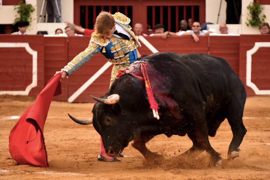 Vic-Fezensac, domingo 9 de junio de 2019. Tarde