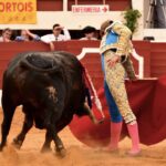 Vic-Fezensac, domingo 9 de junio de 2019. Tarde