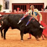 Vic-Fezensac, domingo 9 de junio de 2019. Tarde