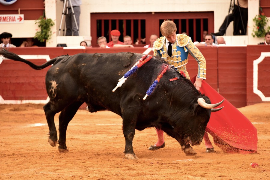 Vic-Fezensac, domingo 9 de junio de 2019. Tarde