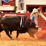 Vic-Fezensac, domingo 9 de junio de 2019. Tarde