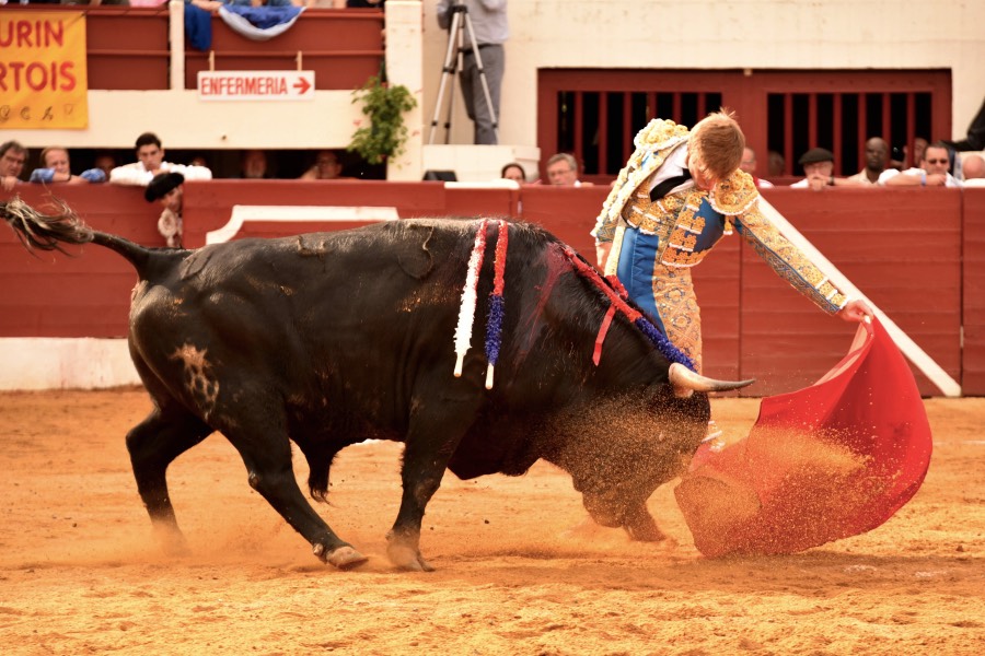 Vic-Fezensac, domingo 9 de junio de 2019. Tarde