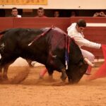 Vic-Fezensac, domingo 9 de junio de 2019. Tarde