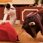 Vic-Fezensac, domingo 9 de junio de 2019. Tarde