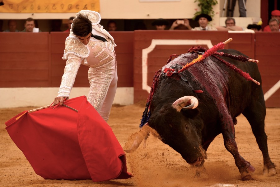 Vic-Fezensac, domingo 9 de junio de 2019. Tarde