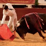 Vic-Fezensac, domingo 9 de junio de 2019. Tarde