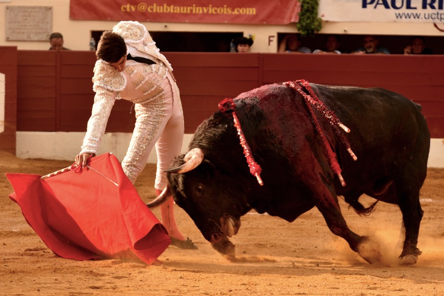 Vic-Fezensac, domingo 9 de junio de 2019. Tarde
