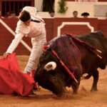 Vic-Fezensac, domingo 9 de junio de 2019. Tarde