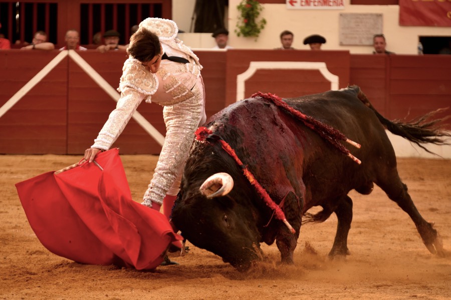 Vic-Fezensac, domingo 9 de junio de 2019. Tarde